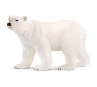 Ours polaire (bundle)
