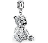 Ours polaire de Bering-1