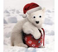 Ours polaire et boule seule carte de Noël 3d avec yeux mobiles