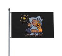 Ours tenant une citrouille d'Halloween pour lancer un sort Drapeaux pour l'extérieur Drapeau double face 3x5 Bannière extérieure avec 2 œillets en laiton Drapeau Décoration de maison Drapeaux
