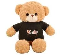 Ourson en peluche à caméra espion HD 1080P Wifi avec son