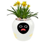 OUSEITECH Grand pot de fleurs intelligent amélioré pour animaux de compagnie, assistant de plantation avec des expressions animées pour que les plantes puissent confondre avec vous, diverses données