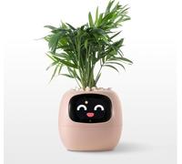 OUSEITECH Petit pot de fleurs mignon et intelligent, pot de fleurs interactif, multifonctionnel, intelligent, Big Data avec 7 capteurs pour aider à la plantation, pour plantes grasses et autres