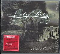 Out of Ruin - What I Can't See