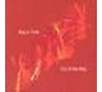 Bag O' Cats - Out of The Bag