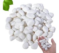OUTALIZ Galets, Galets de Jardin, Pierres Décoratives pour Plantes, Pierres de Rivière L'artisanat, pour L'aménagement Paysager, Maison, Décoration de Jardin, Projets Artistiques 2-4 cm, 1 kg(Blanc)