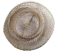 Outanaya Cage de Pêche en Métal Galvanisé Diamètre 25 Cm Panier à Poissons Solide et Léger Accessoire Pêche Pratique pour Maintien Poissons Frais en Plein Air