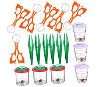 Outanaya Kit Exploration Nature Garçon Fille avec Loupe Insecte Boîte Observation Extensible Pinces Attrape-Insectes et Échantillons Simulés Éducatif Garçon Fille pour Chasse et