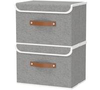 OUTBROS Boîte de Rangement, 45 x 30 x 30 cm Caisse Pliable avec Couvercles et Poignées, Vêtement Cube, Magazine pour, Chambre à Coucher (2 pièces, Gris)