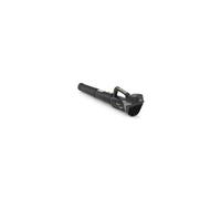 Outdoor ABL 20 Li sans fil 271504104/A21 Aspirateur 230 V