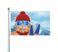 Outdoor Flags Chat Portant Un Chapeau Rouge Tenant Des Skis Drapeau Pirates Anti-Rides Drapeau De Jardin Œillets En Laiton Drapeaux De welcome For Extérieur Intérieur 90x150cm