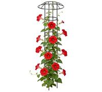 Outdoor Flower Tower Frame - 63 pouces Garden Plant Trellis | Iron Vine Support - Rustproof climbing trellis for clematis jasmine cucumber dragon fruit pots creating vertical support in outdoor