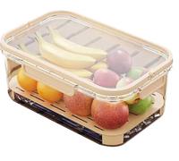 Outdoor Ice Preservation Box Boîte Portable Double Couche Stockage Alimentaire Cuisine Camping 25×16,5×11,5 cm Vert Beige