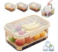Outdoor Ice Preservation Box, Picnic Snackle Box Container with Ice Pack and Lid, Portable Platter Box for Meat, Veggies, Fruit (Beige*2)