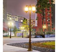 Outdoor Lamp Post Light, High Pole Street Light Aluminum Pole Light Outdoor Waterproof Anticorrosive LED Household Antique Street Lamp Garden Villa Community Lawn Garden Post Garden Light (Brass 200CM)
