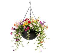 Outdoor Plant Hanger with Hook - Iron Self-Watering Planter Hook, Decorative Wall Plant Pot Hanger for Indoor & Outdoor Use, Home Decor for Window, Living Room, Bedroom, Kitchen,Patio and Porch