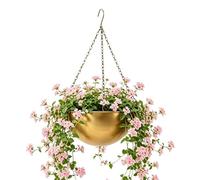 Outdoor Plant Hanger with Hook - Iron Self-Watering Planter Hook, Decorative Wall Plant Pot Hanger for Indoor & Outdoor Use, Home Decor for Window, Living Room, Bedroom, Kitchen,Patio and Porch