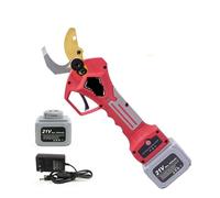 OUTFYT Sécateur électrique sans Fil, sécateur de Jardin for Arbres fruitiers, Branches bonsaï, Batterie,Série Professionnelle(21V)