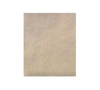Outifrance - 50 feuilles de papier Silex (grain 40/6)