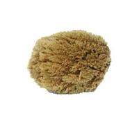 Outifrance - Eponge végétale naturelle 15 cm