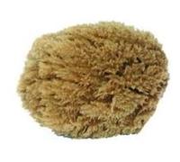 Outifrance - Eponge végétale naturelle 15 cm