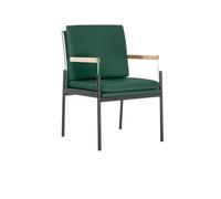 OUTIFUOTPP Chaises de Salle à Manger, fauteuils Modernes, Maison Haut Gamme, chaises Bureau(Log-Leather-E)