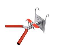 Outil de castration pour porcelets pour bétail, support de castration en acier inoxydable pour petits animaux, outil de castration pour castration de porc, cadre castré