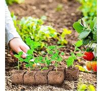 Outil de jardinage en acier inoxydable 19 cm (1 rangée 1 x 4) | En acier inoxydable robuste, crée des blocs uniformes et réduit les pots en plastique, idéal pour l'intérieur et l'extérieur