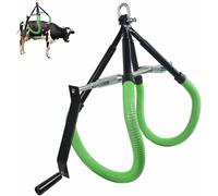 Outil de levage de hanche de vache, assistant debout réglable pour bétail, pour ferme laitière sévère fièvre typhoïde