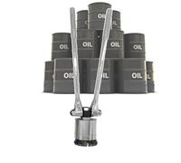 Outil de sertissage de tambour d'huile de 200 L - Scellant manuel pour bouchons de 35 mm et 70 mm - Machine à sceller les bouchons à pression pour un stockage efficace des liquides