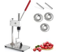 Outil de vidage d'aubépine en acier inoxydable, 2 lames remplaçables pour une extraction rapide et précise du noyau des fruits