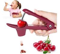 Outil dénoyauteur de cerises, dénoyauteur de cerises, dénoyauteurs de cerises et d'olives avec verrou peu encombrant, rouge