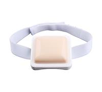 Outil d'entraînement intramusculaire pour l'éducation médicale aux étudiants, infirmières, aide à l'enseignement canin, aide aux vertèbres lombaires et coccyx