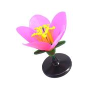 Outil pédagogique détaillé de fleurs artificielles dissectibles pour cours d'anatomie des plantes au lycée et laboratoires scientifiques Modèle de fleur pour salle de classe