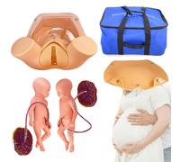 Outils de simulation d'accouchement, 2 foetus avec cordon ombilical et placenta, modèle d'entraînement de sage-femme avec sac de transport, anatomie pelvienne, pour démonstration d'accouchement