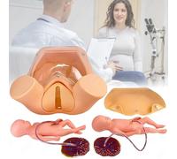 Outils d'éducation à l'accouchement, modèle anatomique pelvien grandeur nature, modèle humain de simulation d'accouchement naturel féminin, modèle de formation de sage-femme, simulateur d'accouchement