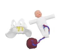 Outils pédagogiques, Ensemble de démonstration de Travail et d'accouchement de Poche, modèle de Bassin féminin et modèle de bébé, simulateur d'accouchement pour l'enseign
