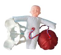 Outils pédagogiques, modèle d'accouchement du Bassin féminin, Ensemble de démonstration de Naissance Comprenant des modèles de bébé et de Bassin et Un Cordon ombilical pl