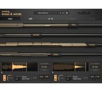 Output Output Analog Brass & Winds