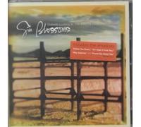 Outside Looking In: The Best of the Gin Blossoms by Gin Blossoms [Audio CD] NEUF