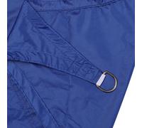 Outstanding! The Relief From Rodin To Picasso