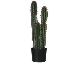 Outsunny Cactus Artificiel Grand Réalisme Grande Taille Ø 17 x 60H cm Vert