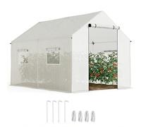 Outsunny Serre de jardin tunnel 2 x 3 m (6 m²) porte enroulable 4 fenêtres acier galvanisé blanc
