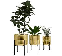 Outsunny Set de 3 supports pour plantes Supports pour fleurs avec aspect rotin Tabouret pour plantes Tabouret pour fleurs pour l'intérieur et l'extérieur Acier Or