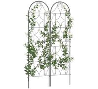 Outsunny Support pour Plantes Grimpantes Motif Irrégulier 50 x 180 cm Noir