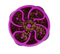 Outward Hound Fun Feeder Slo-Bowl - Gamelle d'alimentation Lente Anti-glouton pour Chien - Taille M/Mini - Violet