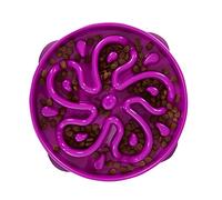 Outward Hound Fun Feeder Slo Bowl - Slow Feeder Dog Bowl - No Bloat - No Choke - Large - Purple