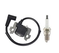 OuyFilters OxoxO Bobine d'allumage de rechange avec bougie d'allumage compatible avec GC135 GC160 GC190 GCV135 GCV160 GCV190 Compatible avec 0500-ZL8-004