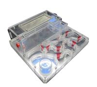 OUYUE Nid De Fourmis Château De Fourmis en Acrylique À Monter Soi-même, Tours d'eau Jumelles, Ferme Nids, Atelier Écologique Scientifique Château De Fourmis(Transparent)