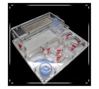 OUYUE Nid De Fourmis Château De Fourmis en Acrylique À Monter Soi-même, Tours d'eau Jumelles, Ferme Nids, Atelier Écologique Scientifique Château De Fourmis(White)